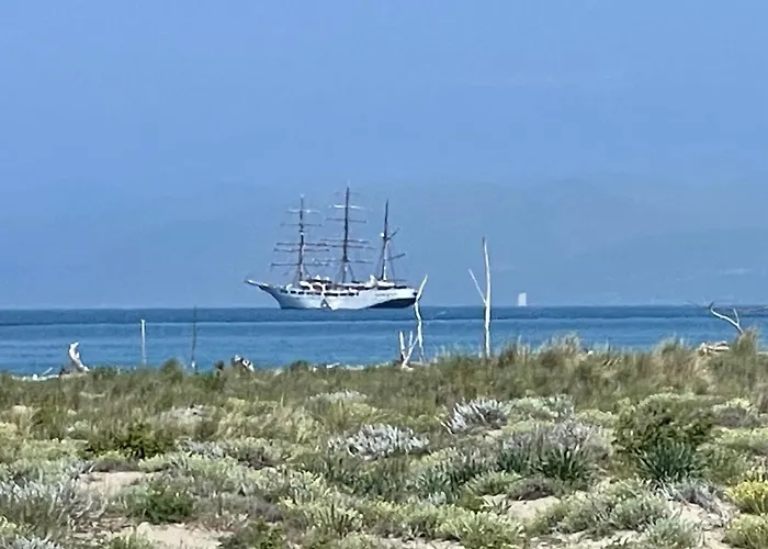 Lovely Versilia